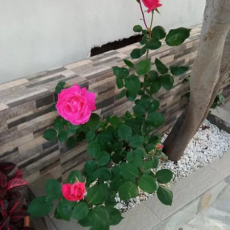 Snuggery Elegant * Ajos Nikolaos