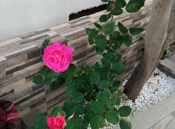 Snuggery Elegant * Agios Nikolaos (Chalkidiki)